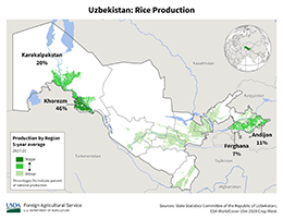 images\UZ\cropprod\Uzbekistan_Rice_preview.png